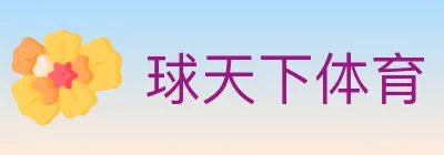 球天下体育 logo